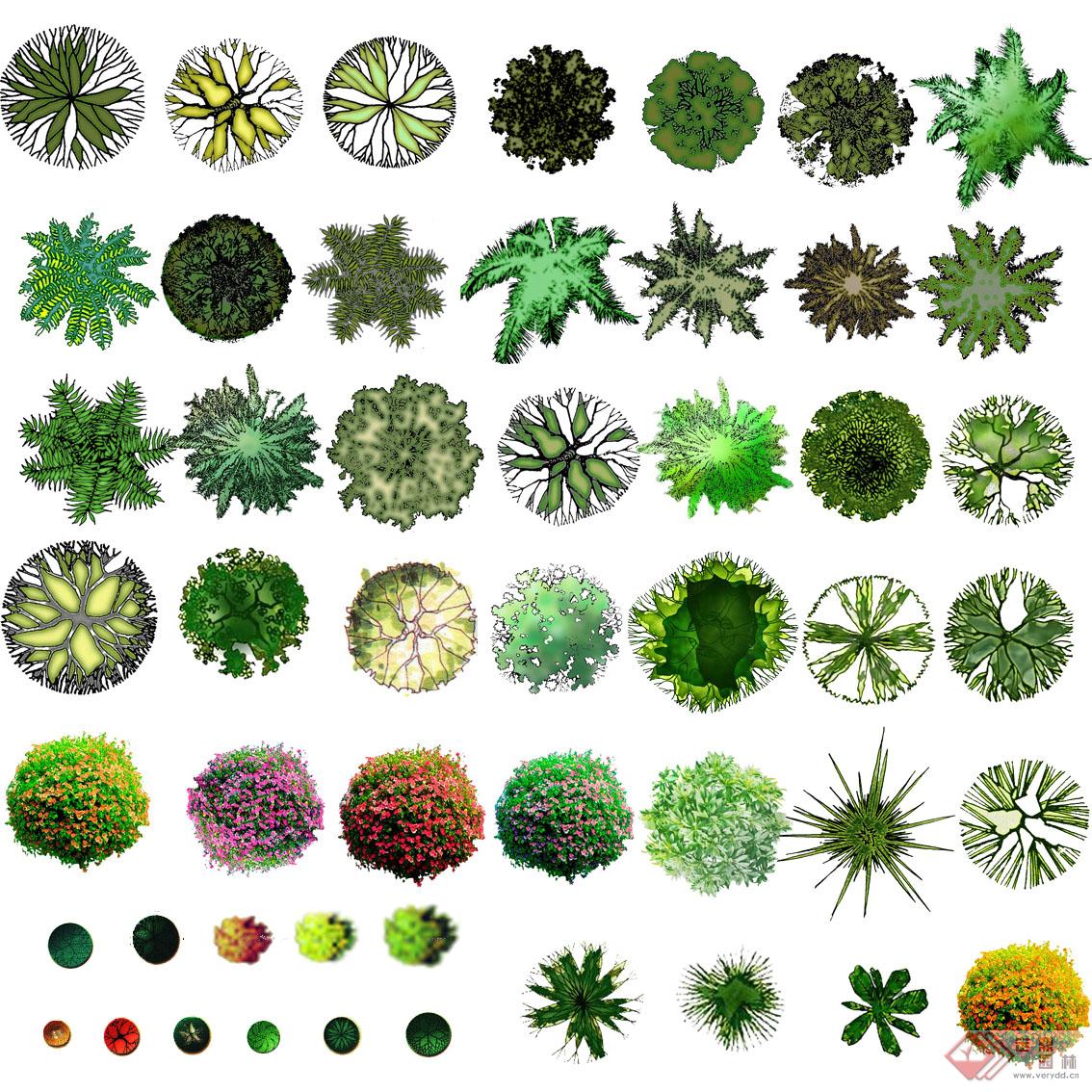 psd格式的彩色植物平面图