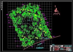园博会热带庭园规划设计植物配植平面图