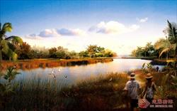 大型生态湿地公园景观规划效果图PSD源文件