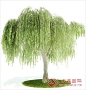 国外精品植物-树木-灌木3D模型8-5套1