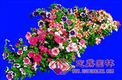 花草、花坛、花带、冠木球021植物花卉素材